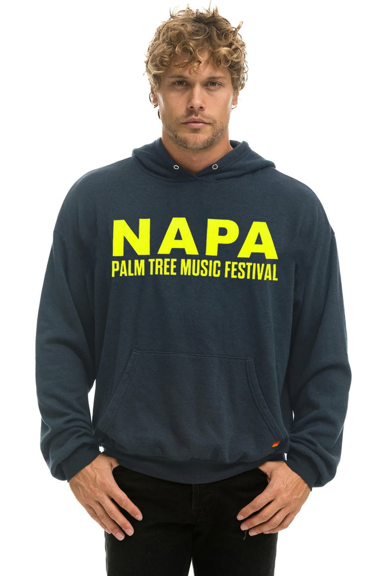 PALM TREE FESTIVAL NAPA 2026 PULLOVER HOODIE RELAXED - CHARCOAL