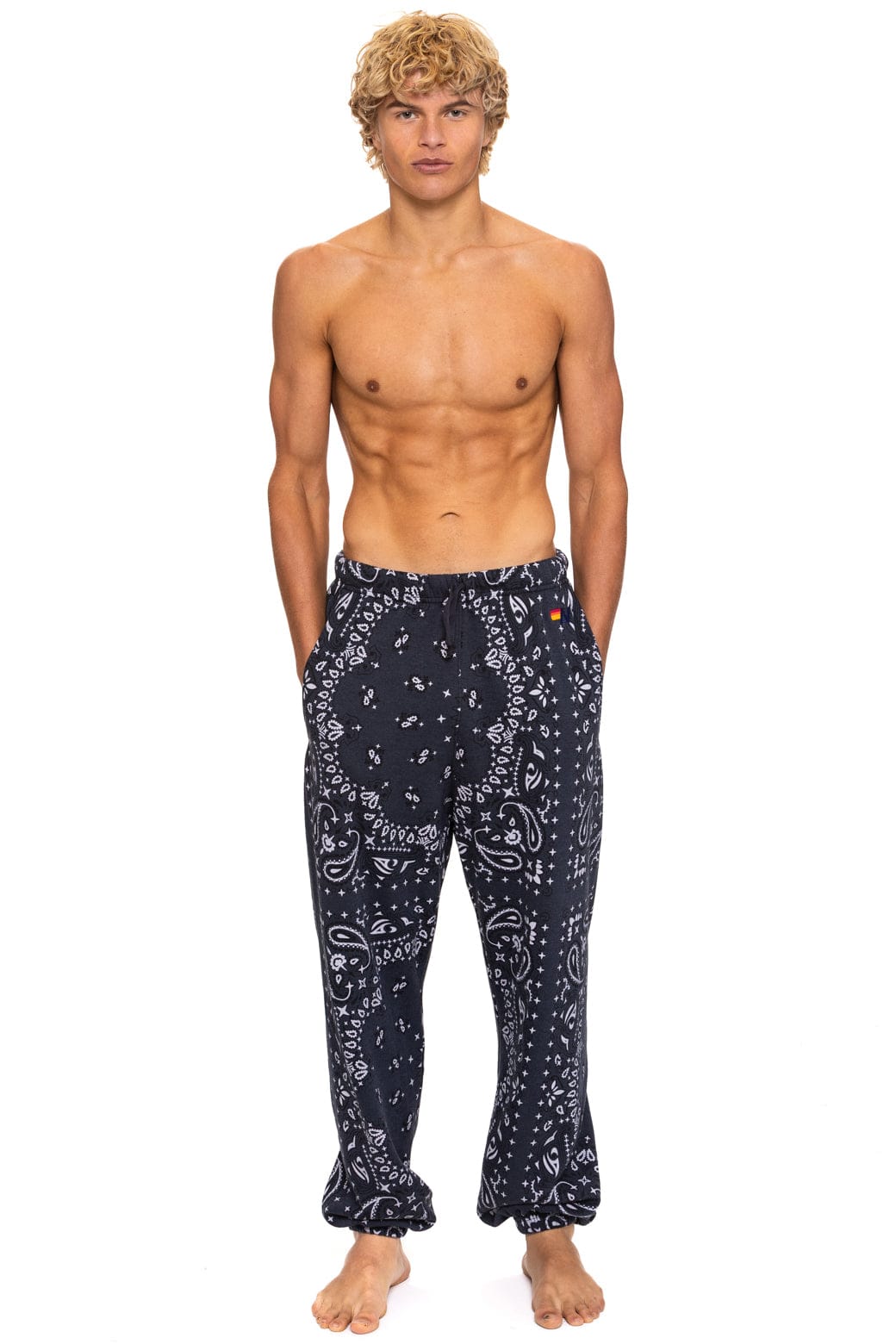 Charcoal Bandana Sweatpants from Aviator Nation