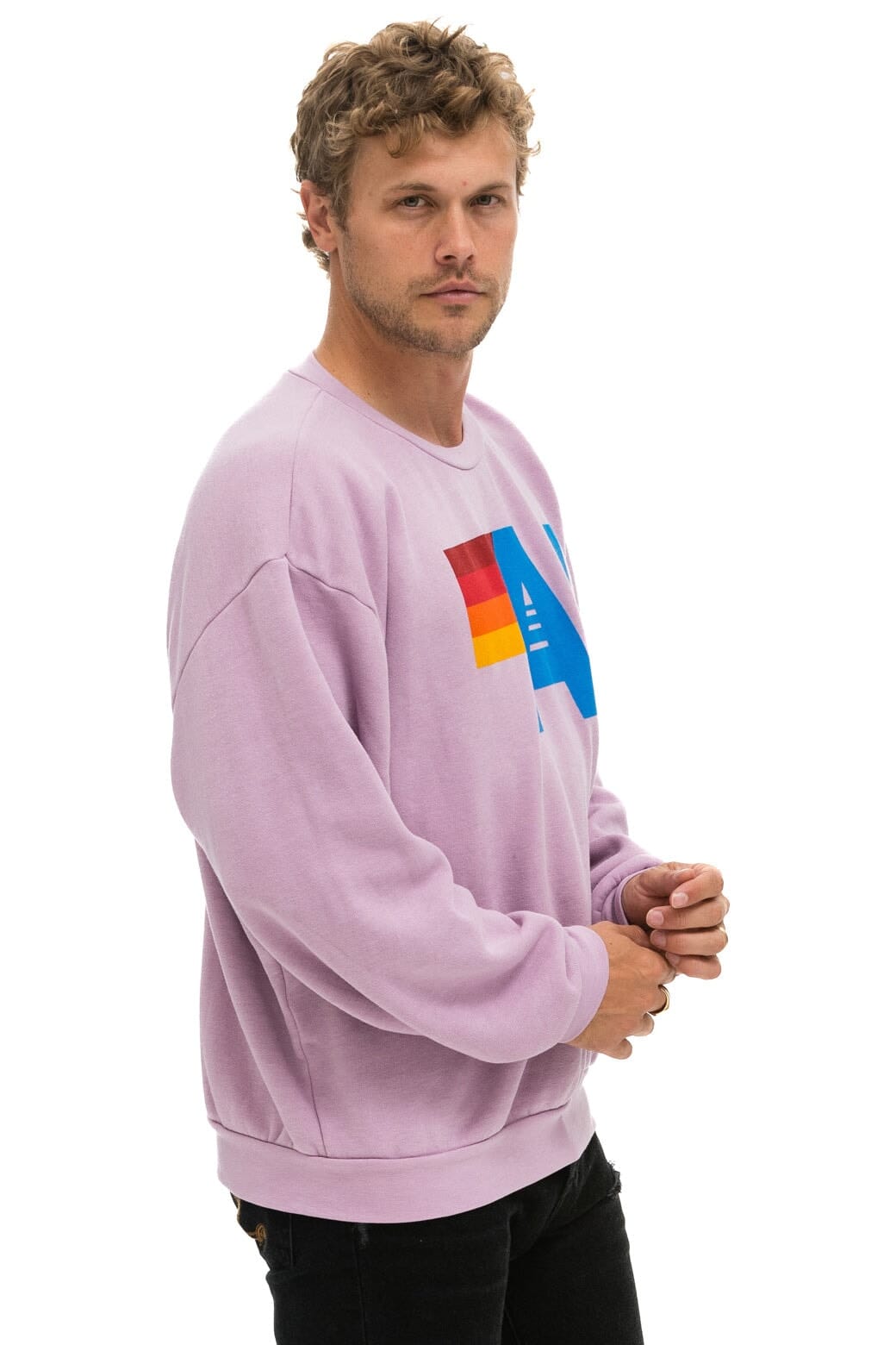 LOGO RELAXED CREW SWEATSHIRT - MAUVE Sweatshirt Aviator Nation