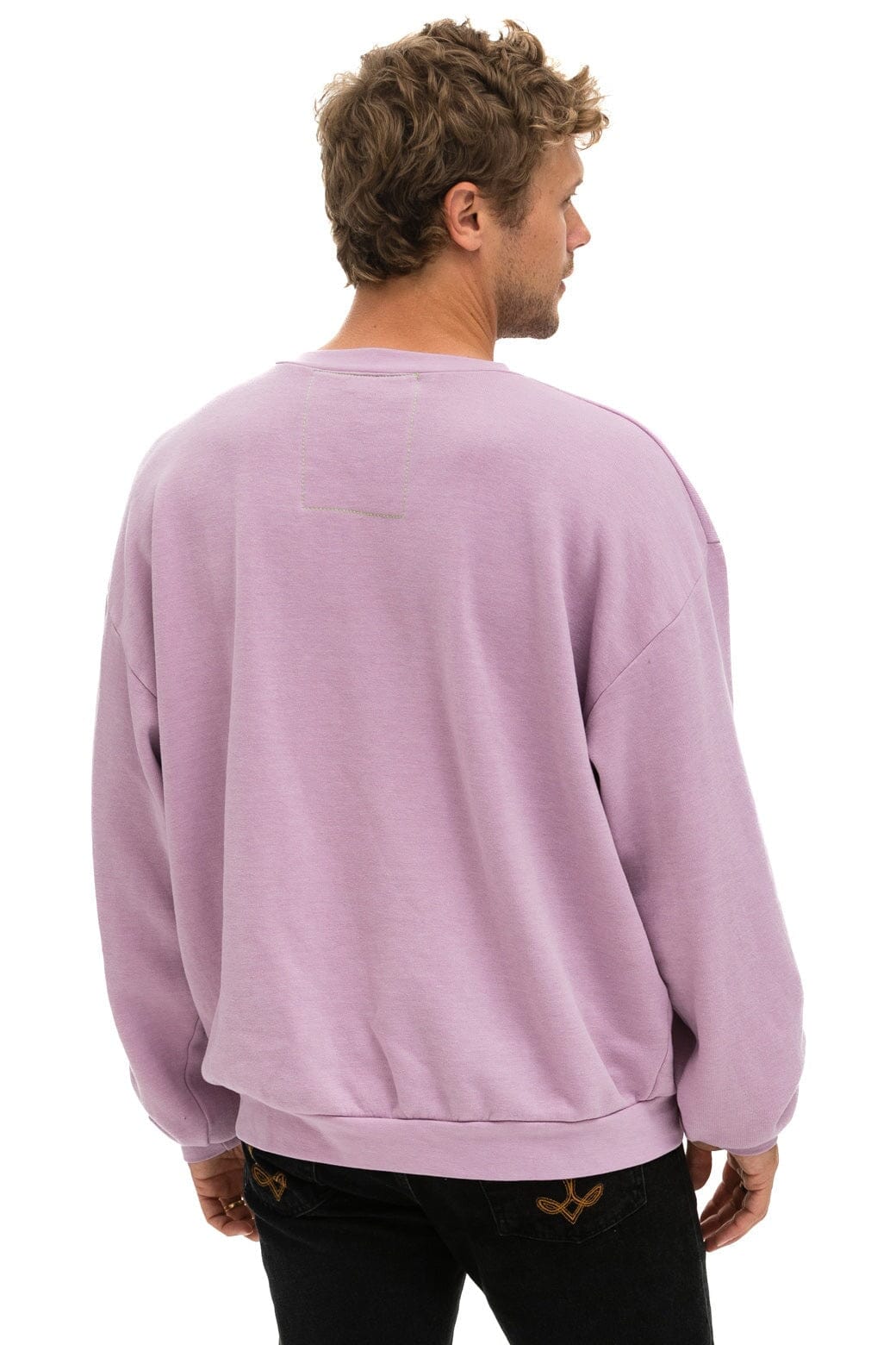 LOGO STITCH RELAXED CREW SWEATSHIRT - MAUVE Sweatshirt Aviator Nation