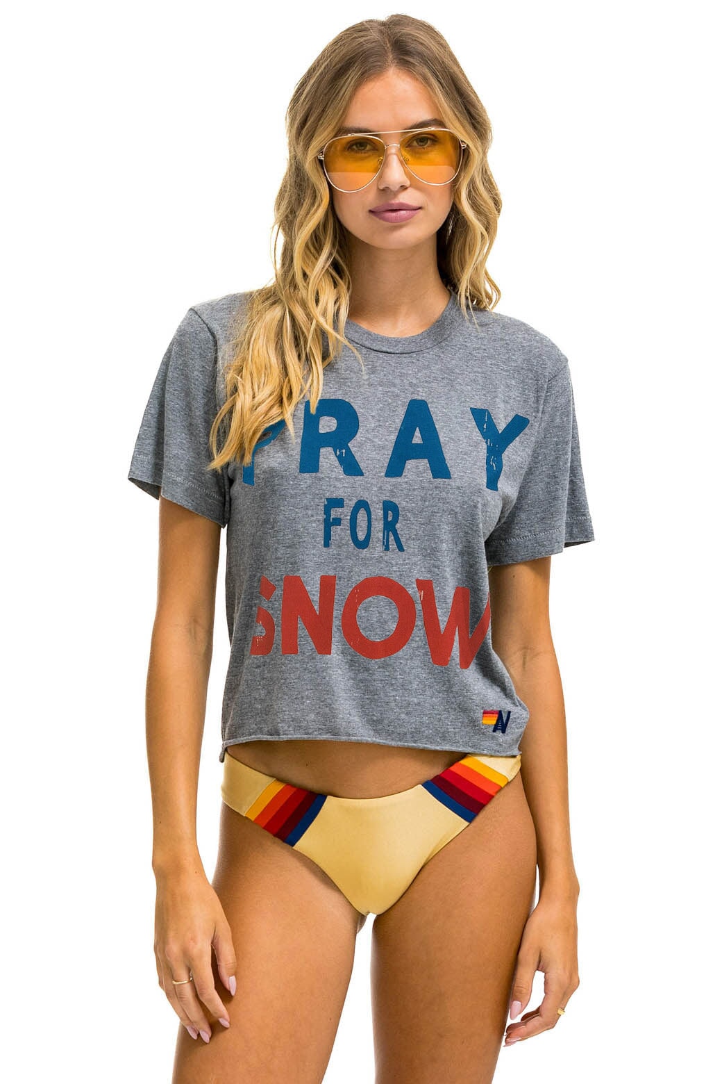 PRAY FOR SNOW BOYFRIEND TEE - HEATHER Boyfriend Tee Aviator Nation 