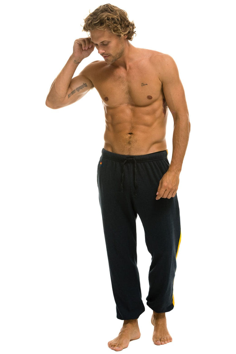 5 STRIPE SWEATPANTS - CHARCOAL Mens Sweatpants Aviator Nation