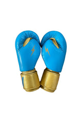 BOXING GLOVES - BLUE // GOLD Boxing Gloves Aviator Nation