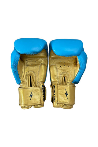 BOXING GLOVES - BLUE // GOLD Boxing Gloves Aviator Nation