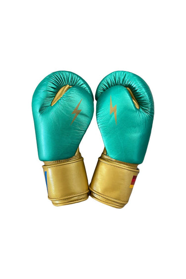 BOXING GLOVES - GREEN // GOLD Boxing Gloves Aviator Nation