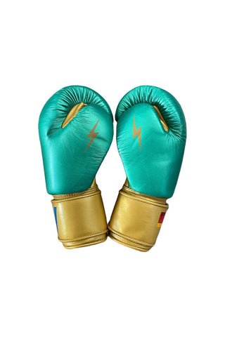 BOXING GLOVES - GREEN // GOLD Boxing Gloves Aviator Nation