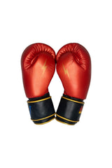 BOXING GLOVES - RED // GOLD Boxing Gloves Aviator Nation