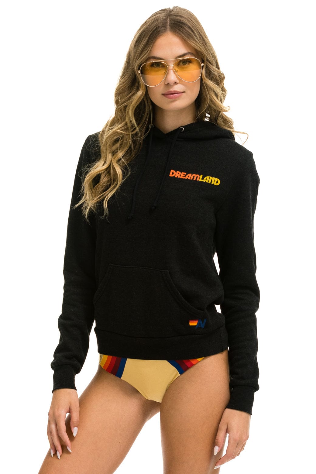 DREAMLAND LOGO ZIP HOODIE - BLACK Hoodie Aviator Nation