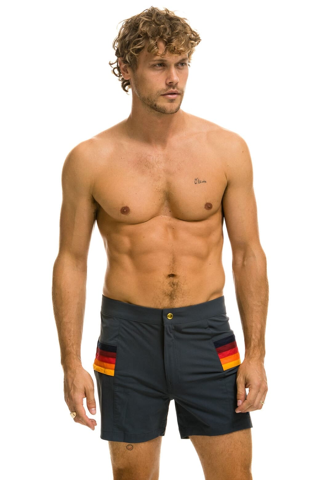 MEN'S HORIZONTAL 5 STRIPE FLEX SHORTS - TITANIUM Men's Board Shorts Aviator Nation