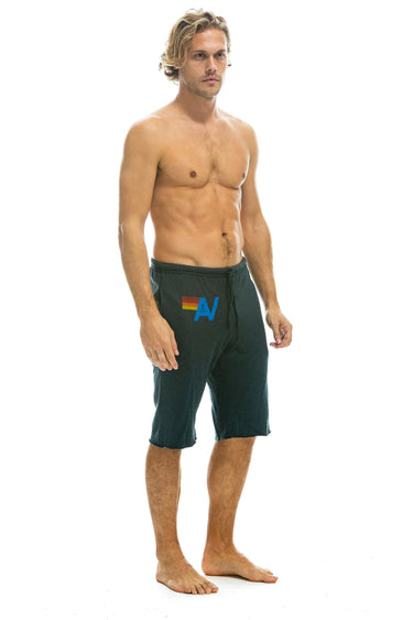 MEN'S LOGO SWEATSHORTS - CHARCOAL Sweatshorts Aviator Nation