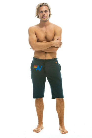 MEN'S LOGO SWEATSHORTS - CHARCOAL Sweatshorts Aviator Nation