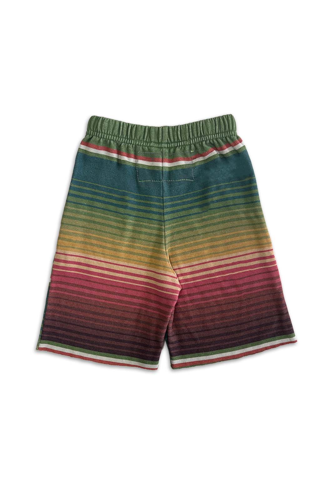 SERAPE KIDS SWEATSHORTS - JUNGLE GREEN Kids Shorts Aviator Nation