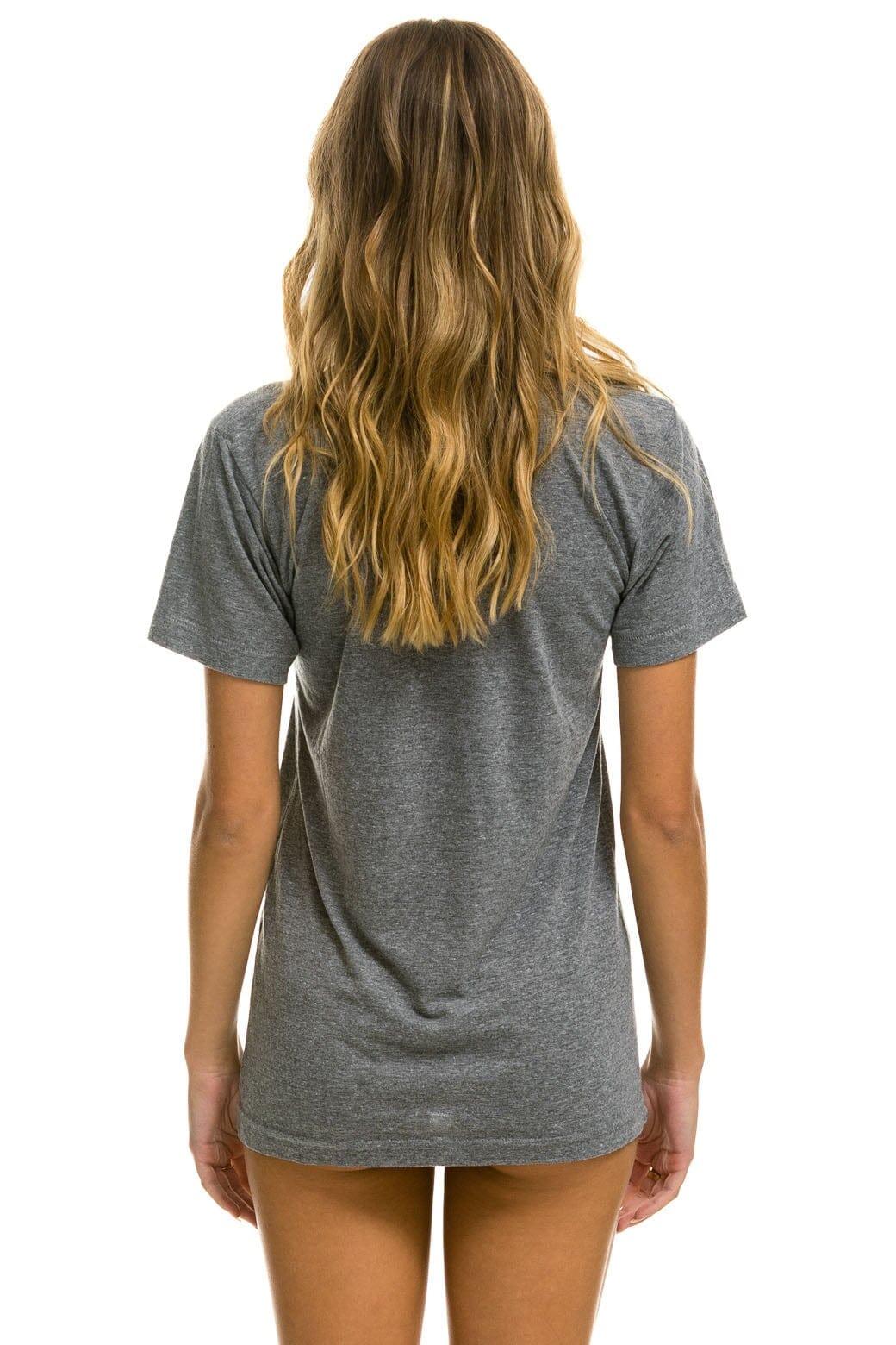 SIGNATURE ASPEN TEE - HEATHER GREY Tees Aviator Nation