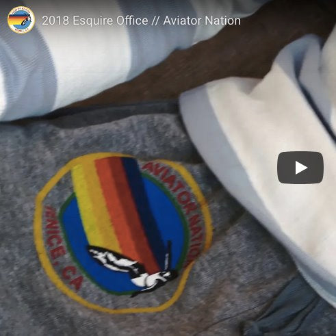 A screen grab of an Aviator Nation video