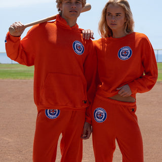 Detroit Tigers x Aviator Nation MLB Collection