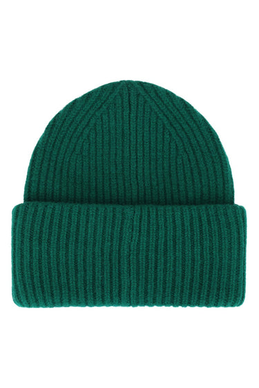 PALM TREE FESTIVAL ASPEN 2026 MERINO WOOL BEANIE - KELLY GREEN