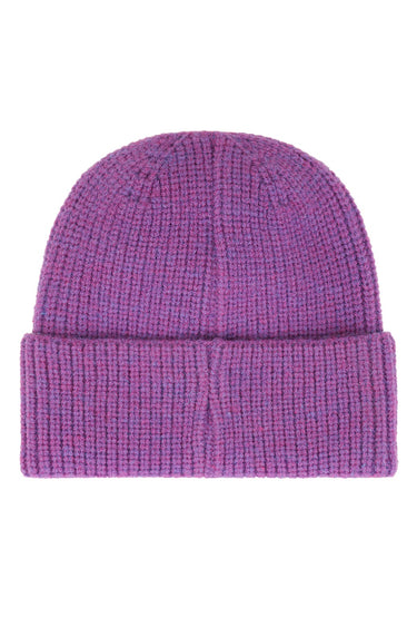 PALM TREE FESTIVAL ASPEN 2026 RIB BEANIE - VINTAGE PURPLE
