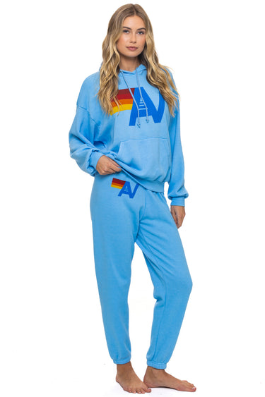 LOGO PULLOVER RELAXED HOODIE - SKY