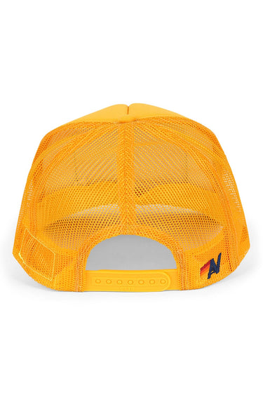 PRAY FOR SNOW VINTAGE TRUCKER HAT - GOLD - back