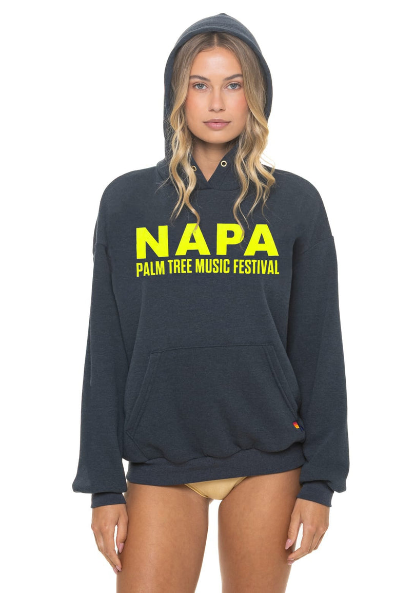 PALM TREE FESTIVAL NAPA 2026 PULLOVER HOODIE RELAXED - CHARCOAL