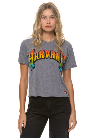 HARVARD 2026 BOYFRIEND TEE - HEATHER