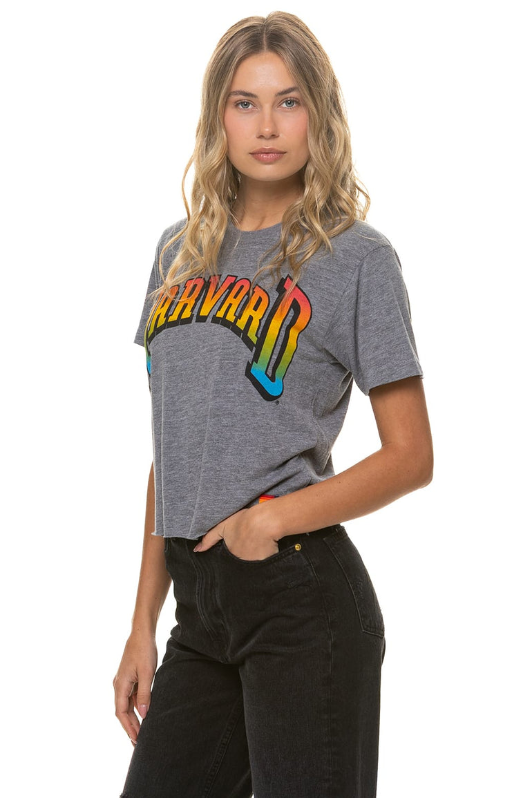 HARVARD 2026 BOYFRIEND TEE - HEATHER