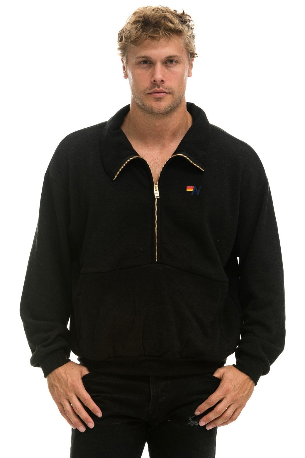LOGO EMBROIDERY HALF ZIP SWEATSHIRT - BLACK Sweatshirt Aviator Nation 