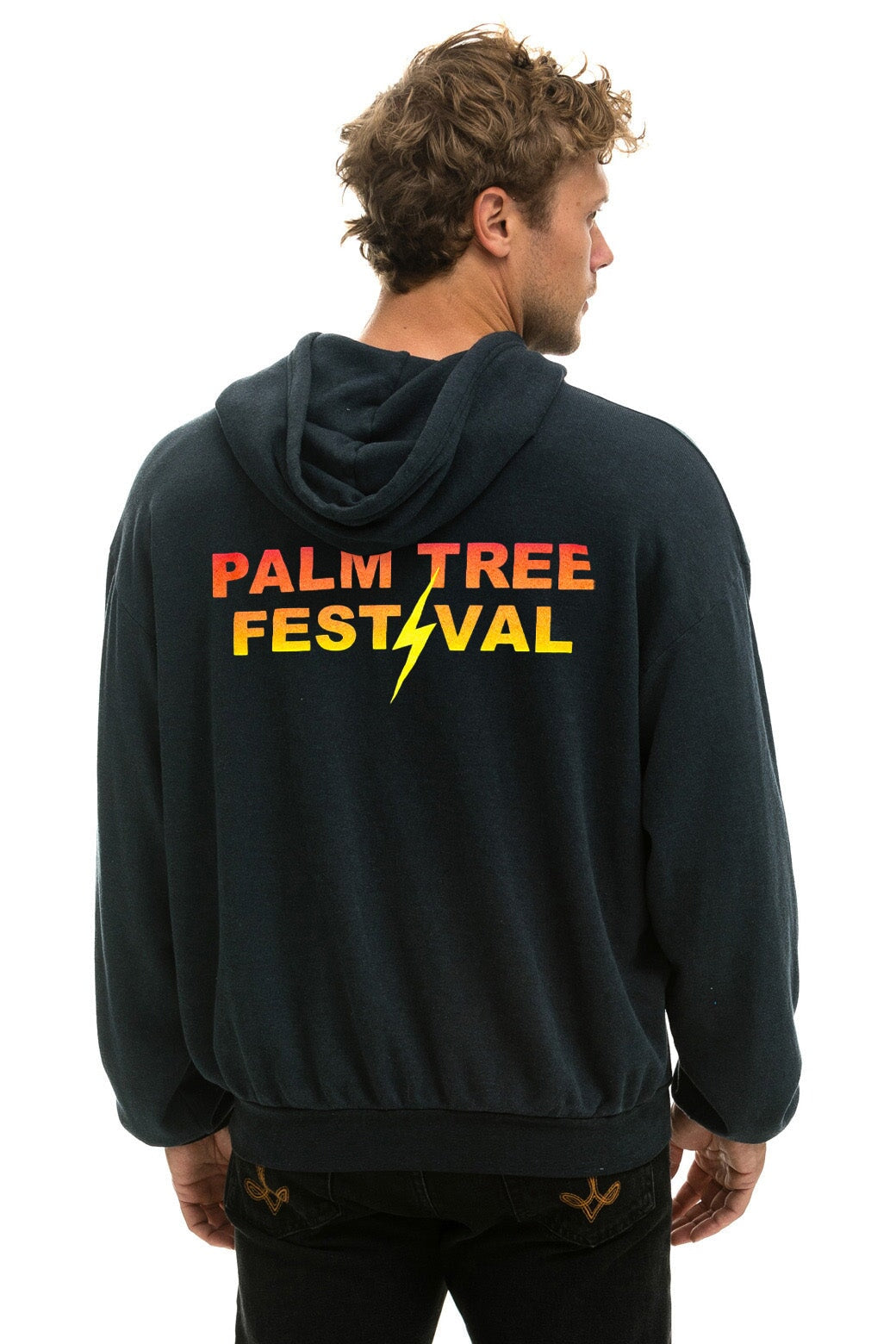 PALM TREE FESTIVAL ASPEN 2024 PULLOVER HOODIE RELAXED - CHARCOAL Hoodie Aviator Nation 