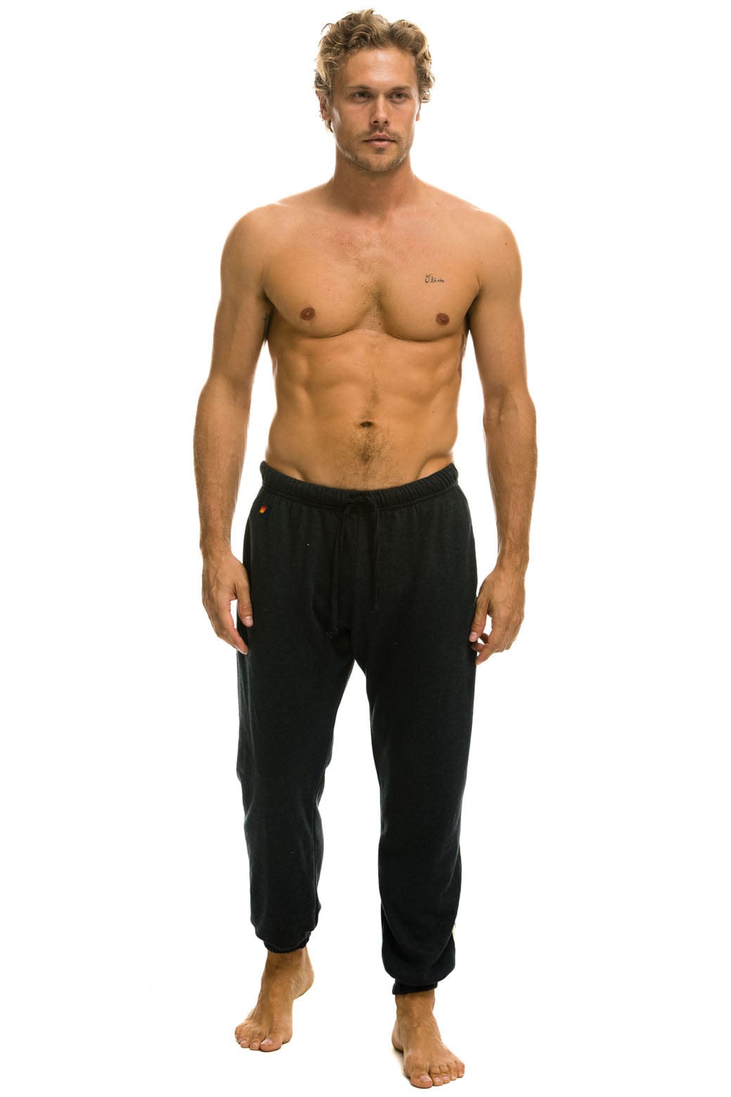 5 STRIPE SWEATPANTS - CHARCOAL // GREY Mens Sweatpants Aviator Nation 
