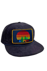 ASPEN SUNSET VINTAGE CORDUROY TRUCKER HAT Aviator Nation 