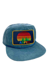 ASPEN SUNSET VINTAGE CORDUROY TRUCKER HAT Aviator Nation 