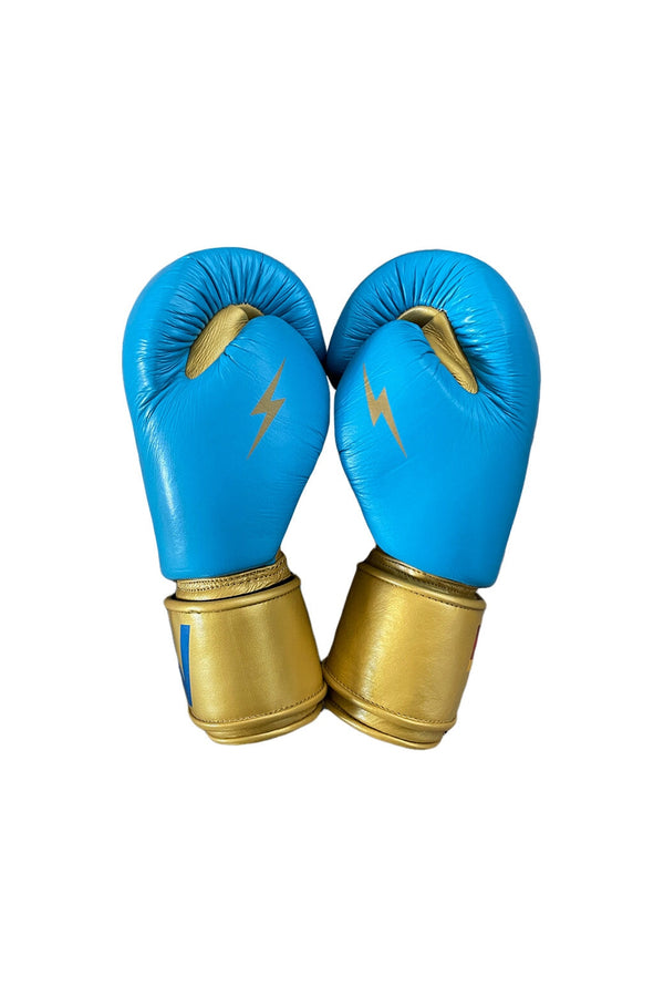 BOXING GLOVES BLUE // GOLD Aviator Nation