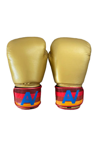BOXING GLOVES - GOLD Boxing Gloves Aviator Nation 