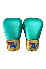 BOXING GLOVES - GREEN // GOLD Boxing Gloves Aviator Nation 