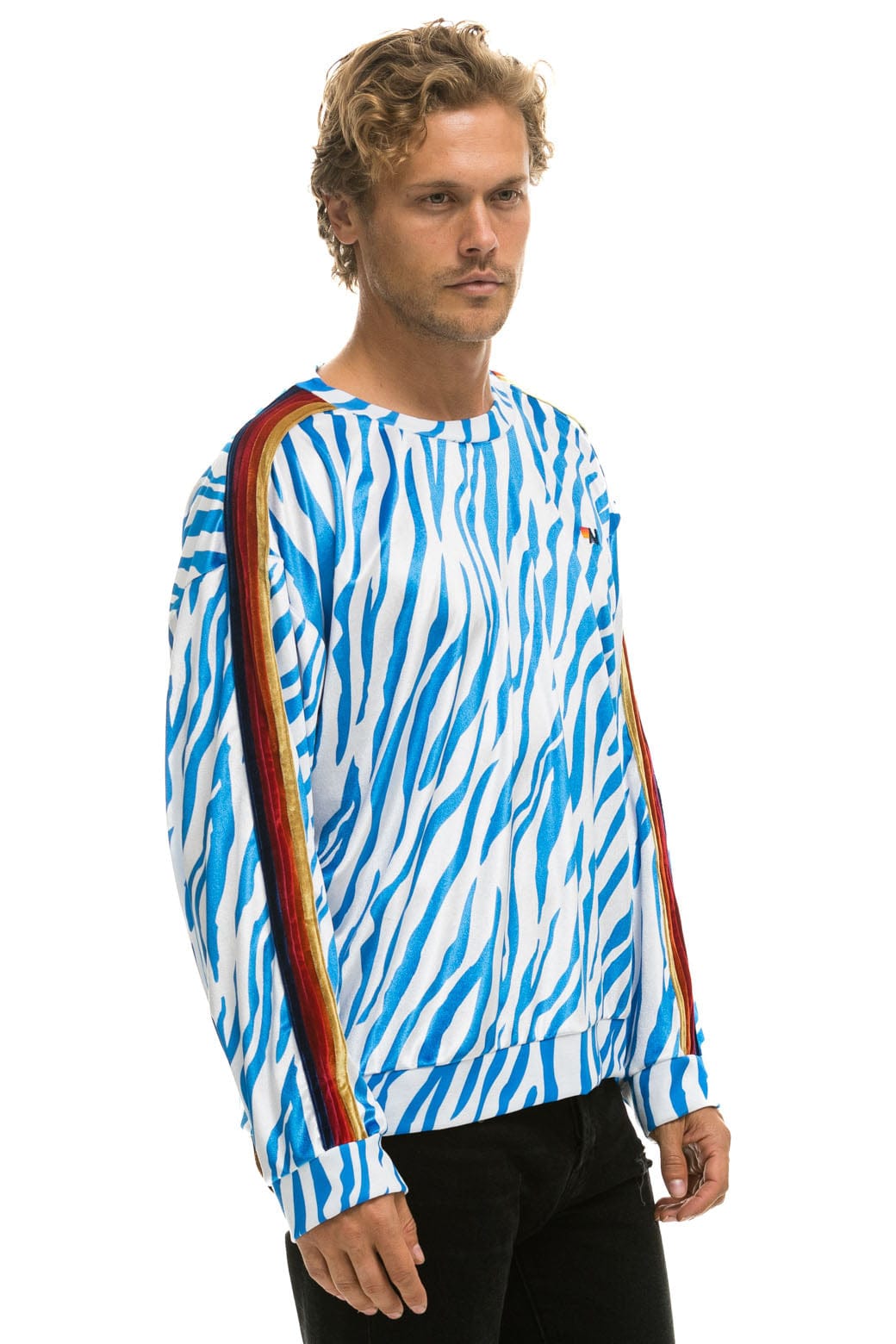 CLASSIC VELVET RELAXED SWEATSHIRT - BLUE TIGER Sweatshirt Aviator Nation 