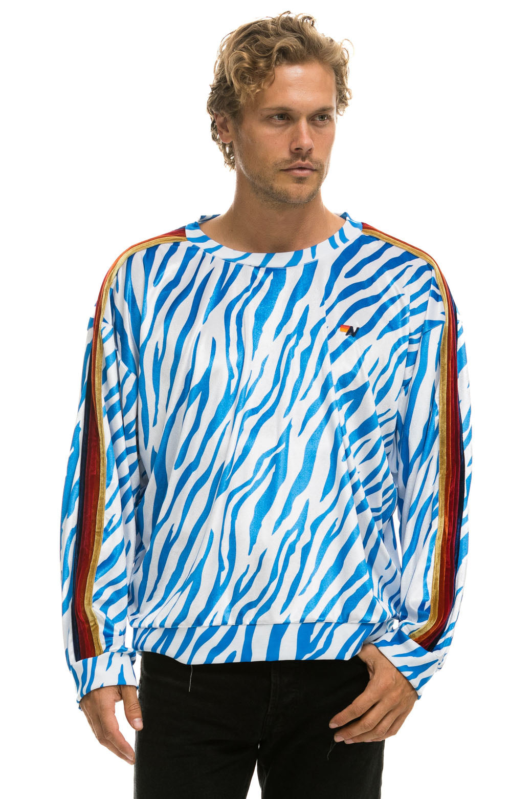 CLASSIC VELVET RELAXED SWEATSHIRT - BLUE TIGER Sweatshirt Aviator Nation 