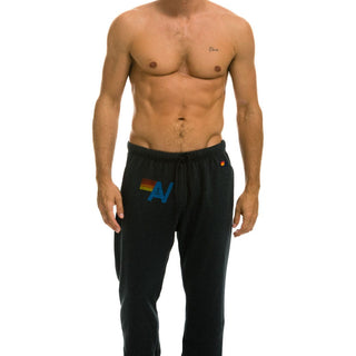 LOGO SWEATPANTS - CHARCOAL Mens Sweatpants Aviator Nation 