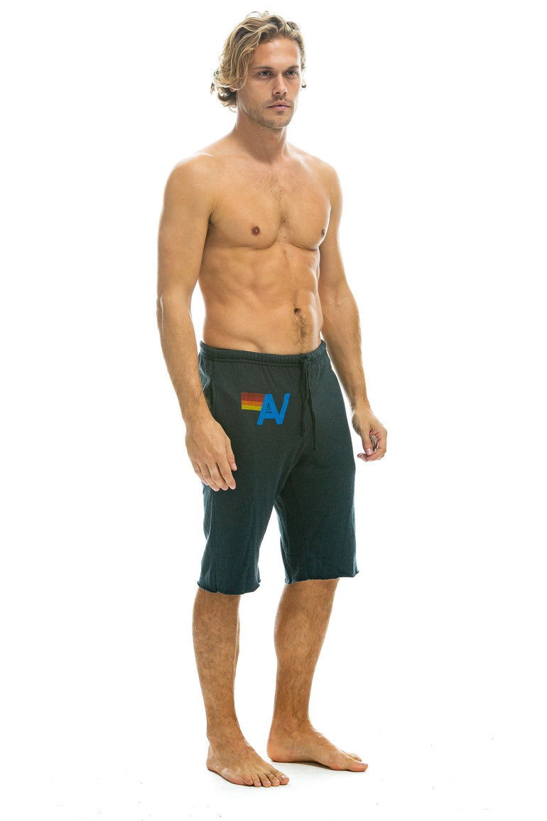 MEN'S LOGO SWEATSHORTS - CHARCOAL Sweatshorts Aviator Nation 