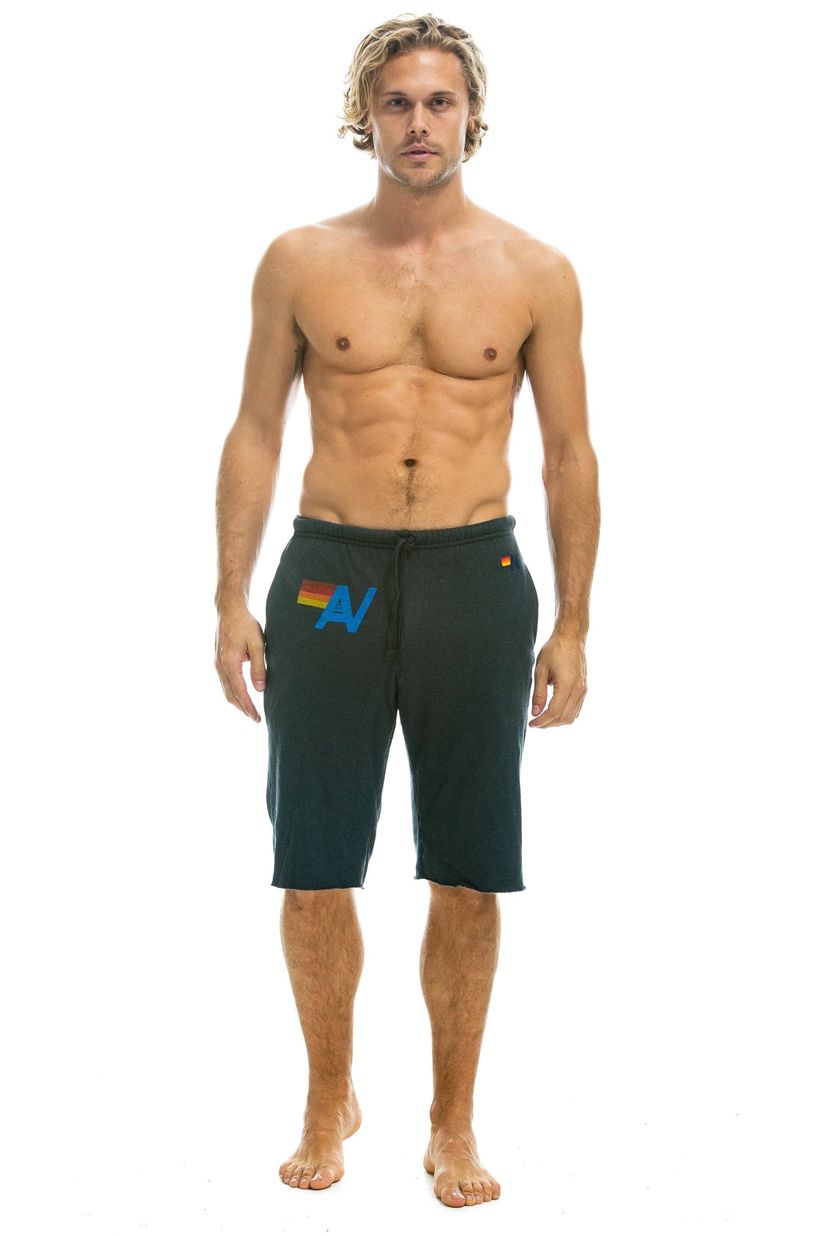 MEN'S LOGO SWEATSHORTS - CHARCOAL Sweatshorts Aviator Nation 
