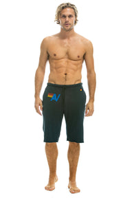 MEN'S LOGO SWEATSHORTS - CHARCOAL Sweatshorts Aviator Nation 
