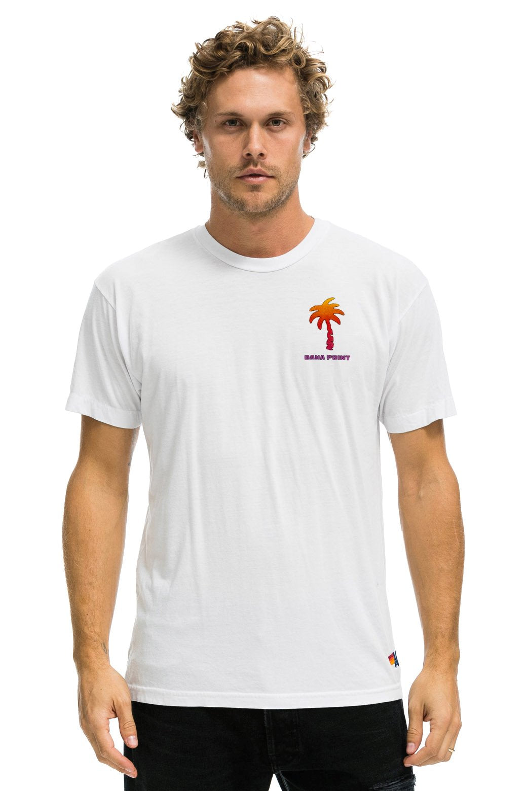 PALM TREE FESTIVAL DANA POINT 2023 TEE - WHITE Aviator Nation 